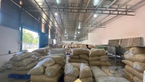 z5976601007868_3f1240560146673d35d16a2b05278f9f-300x169